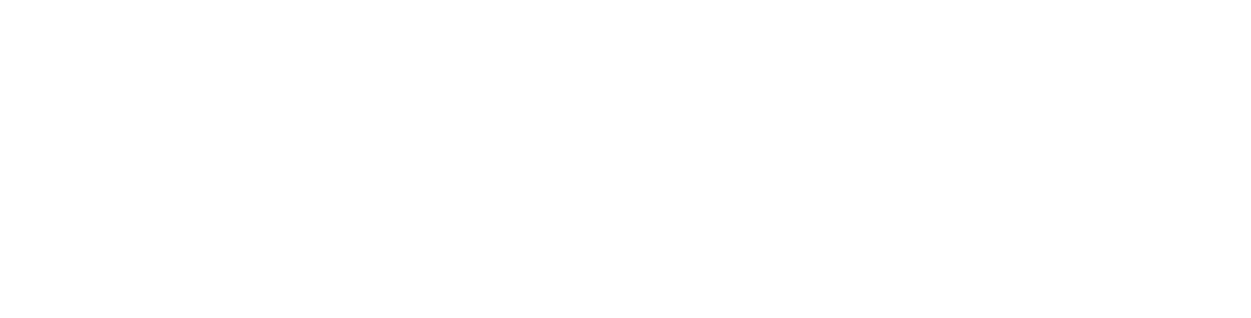 Boys Vibe The Project logo
