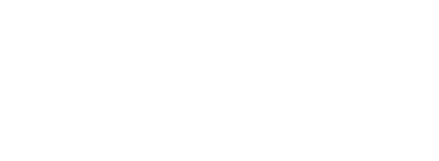 Parallel Me logo