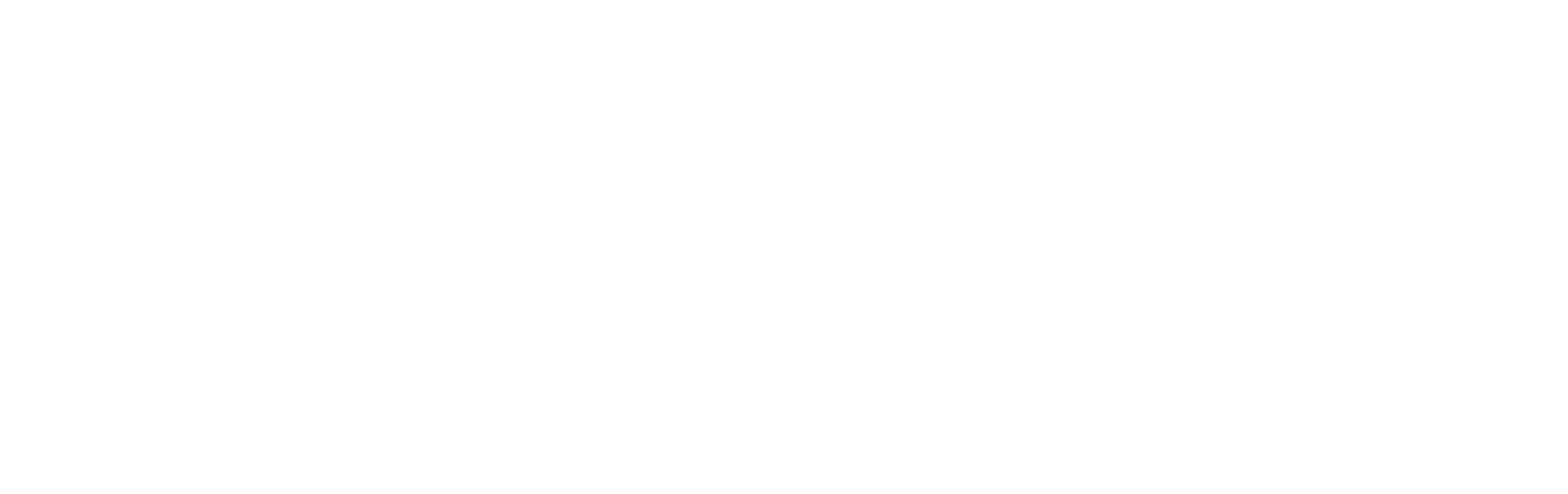 Donna Hay Christmas logo