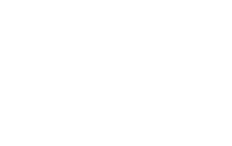 Ride in the Whirlwind logo
