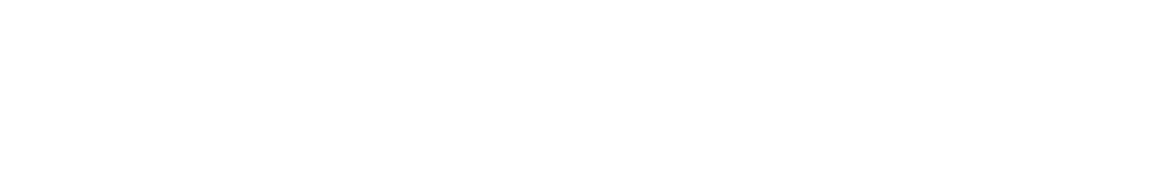 The Crocodile Hunter logo