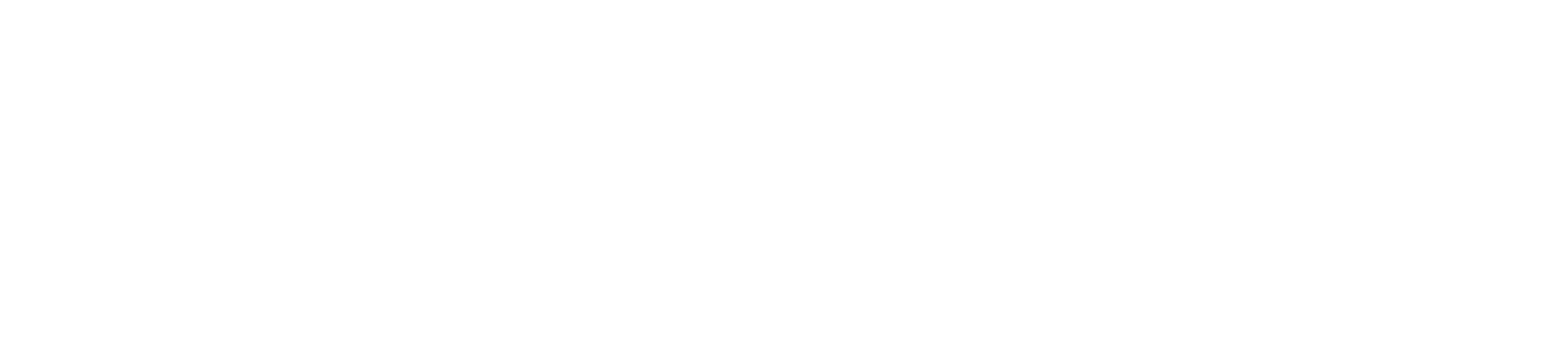 The Punisher logo