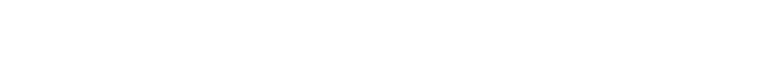 It's Now or Never logo