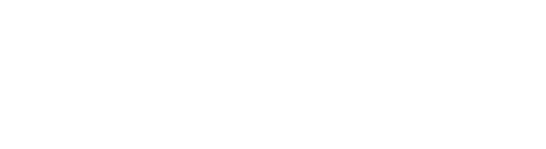 WWE Heat logo