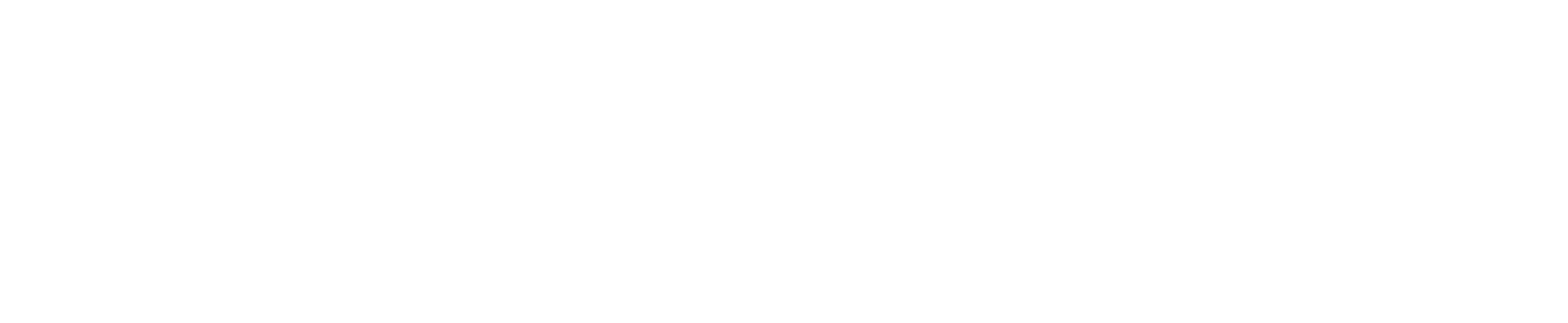 Magellan logo