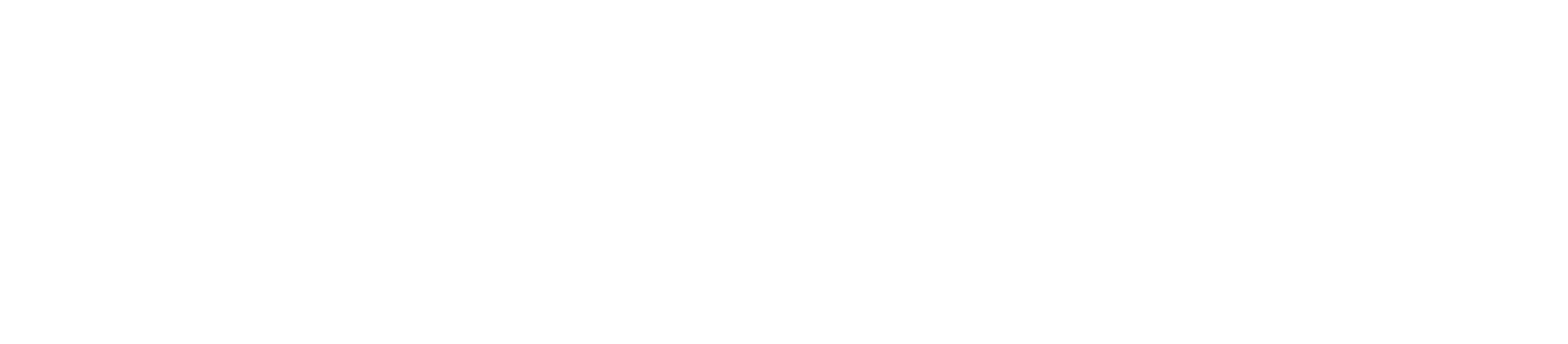 Wahl Street logo