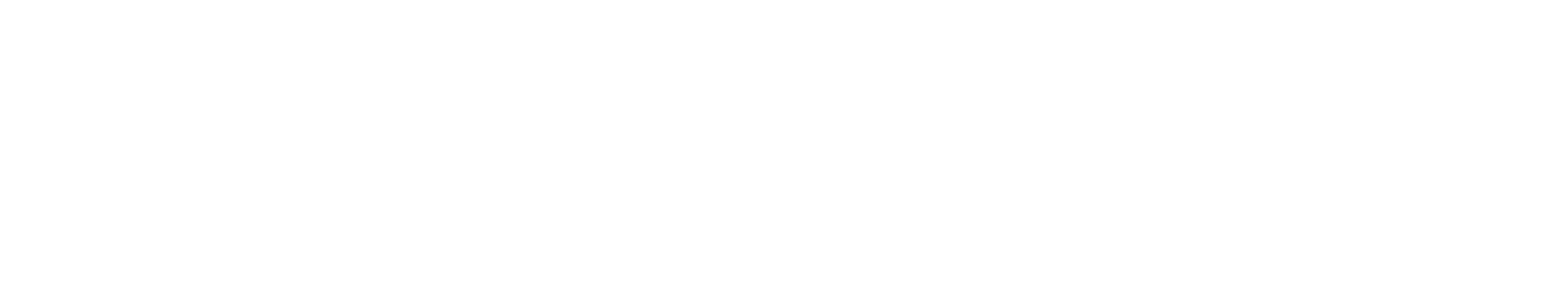 Fly Away Home logo