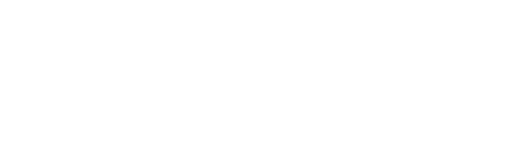 General Magic logo
