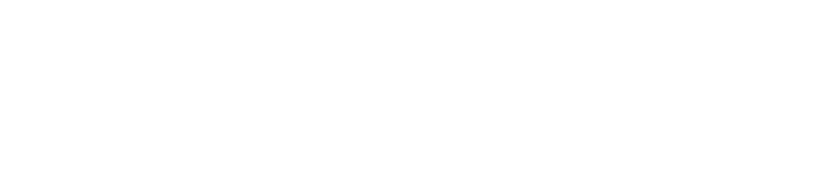 The Bridge logo