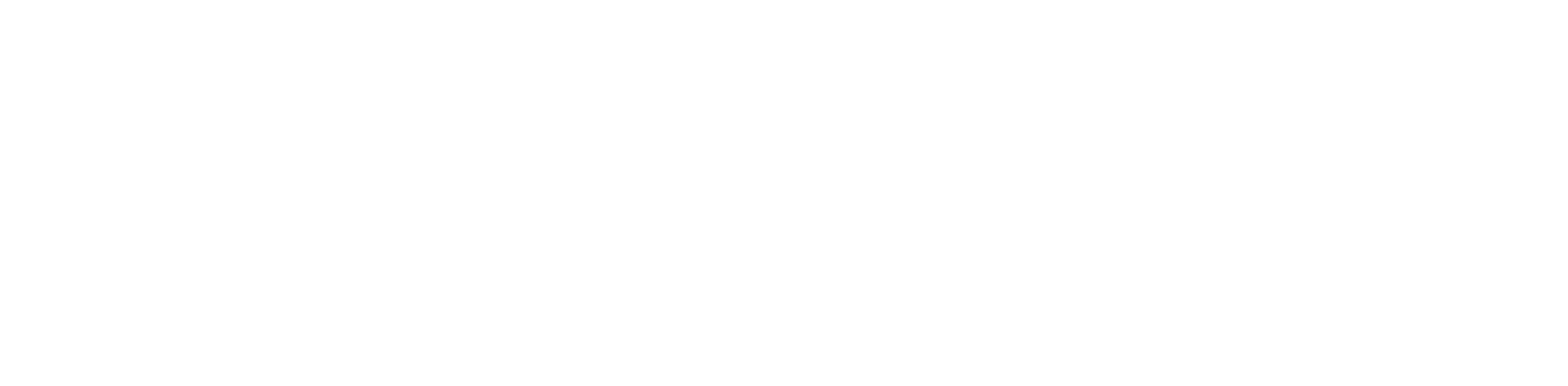 mid90s logo