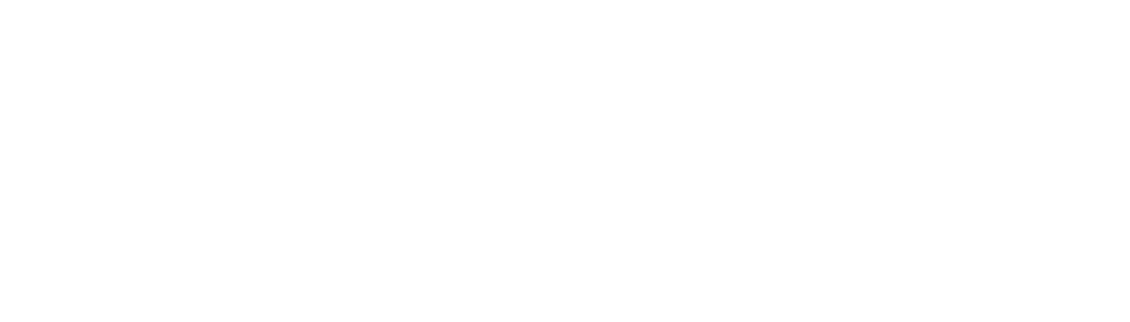 The Visitor logo