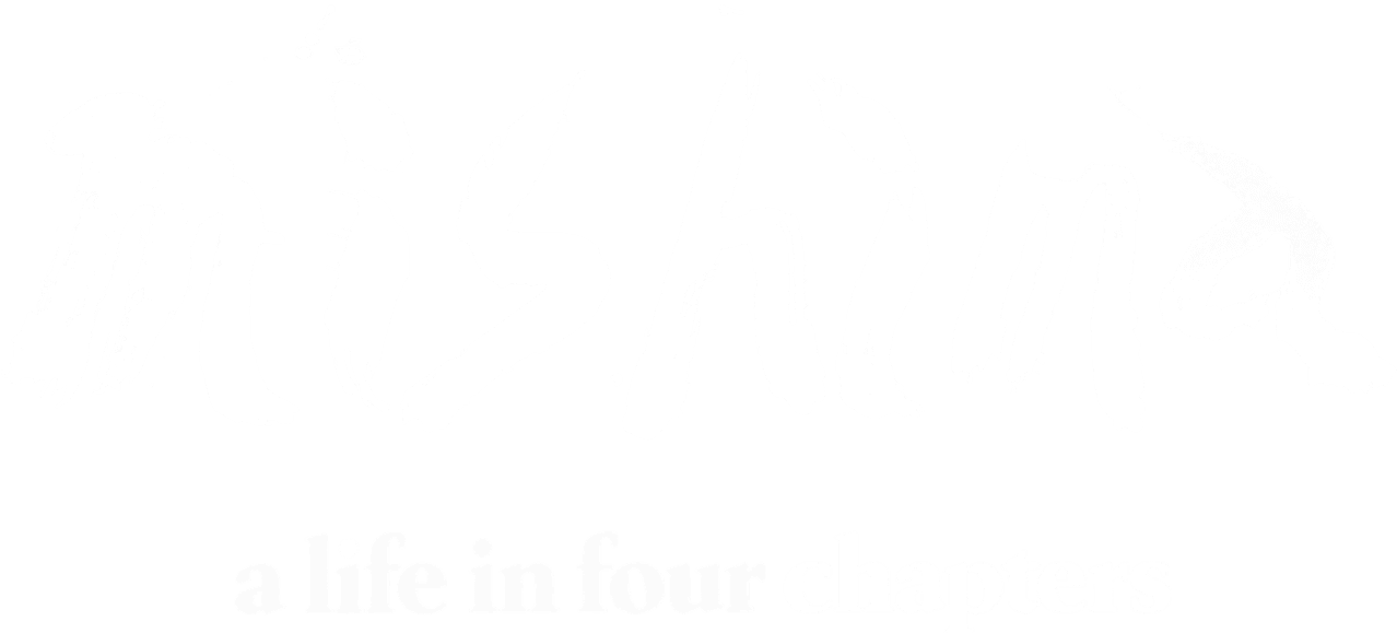 Mishima: A Life in Four Chapters logo
