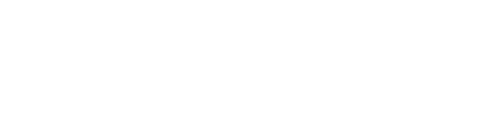American Thunder: NASCAR to Le Mans logo