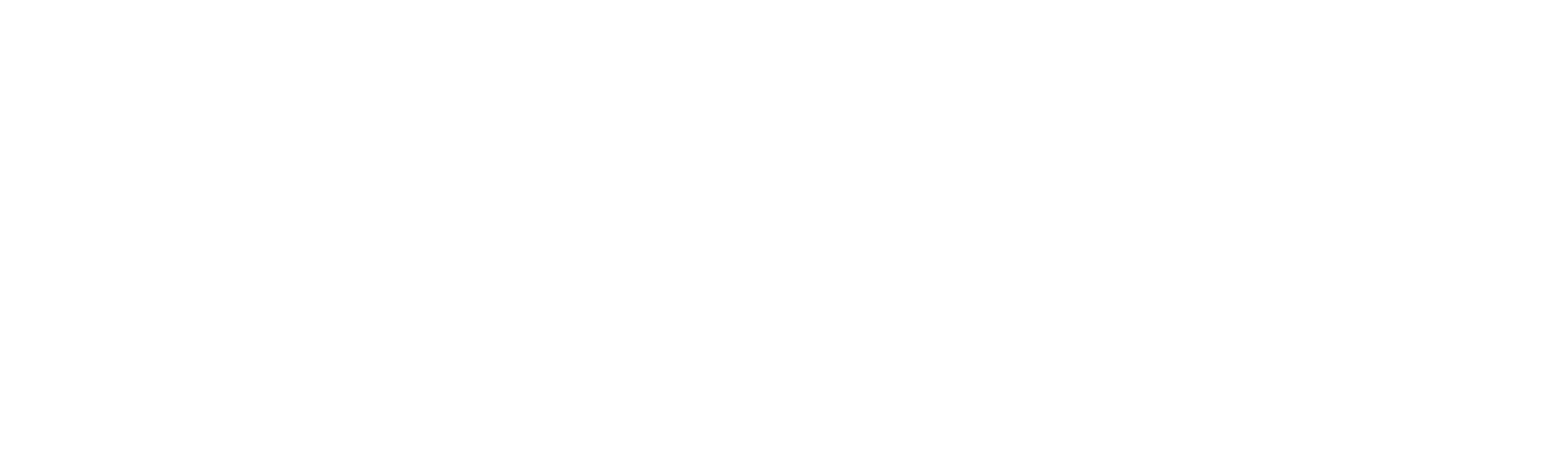 Casanova logo
