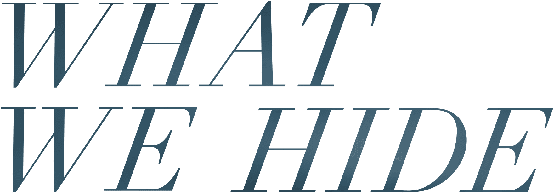 What We Hide logo