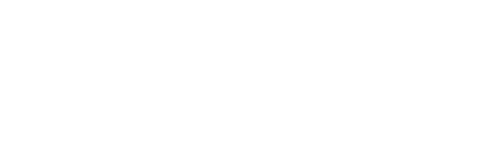 The Bureau logo