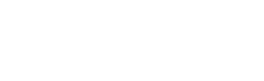 The Silent Revolution logo