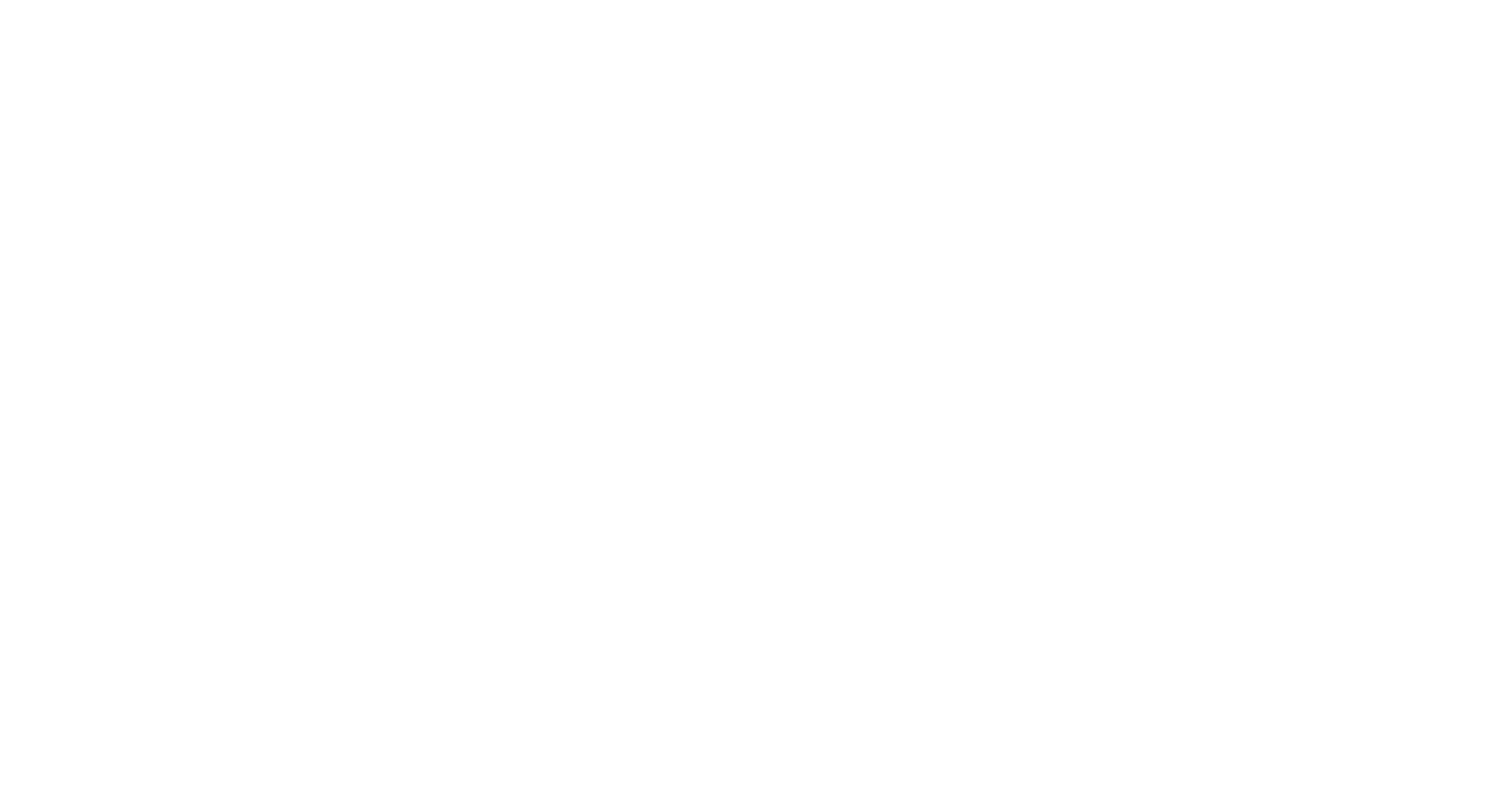Summer to Winter logo