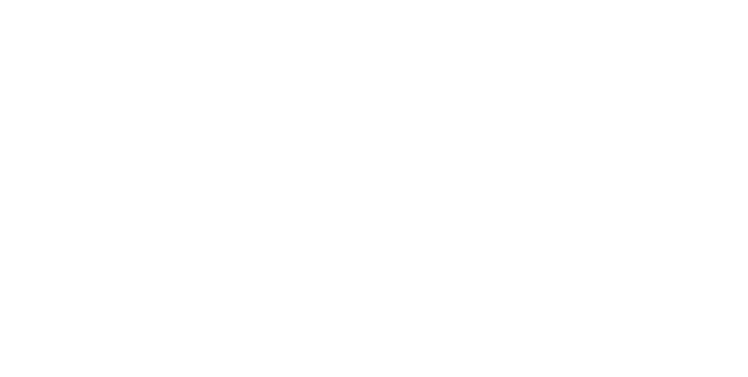Liar logo