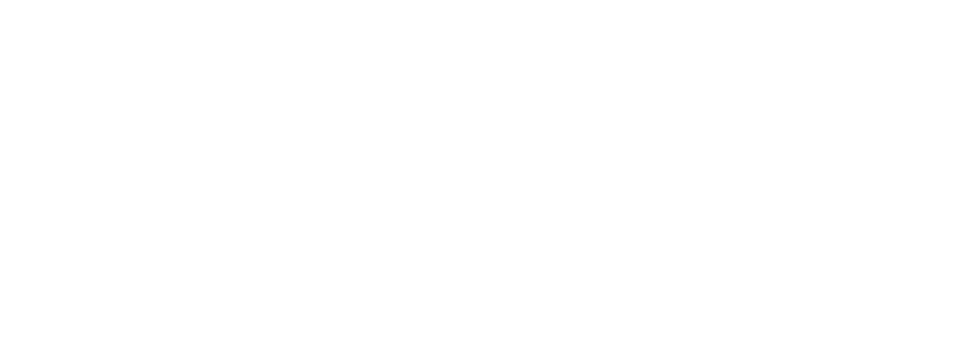 Double Trouble logo