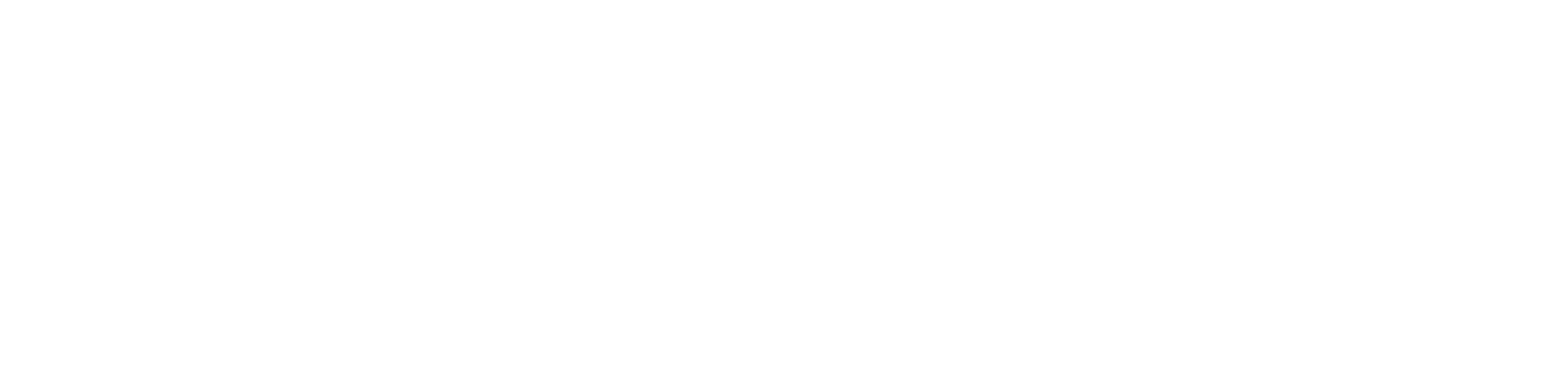 Wonder logo