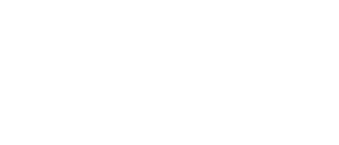 Levius logo