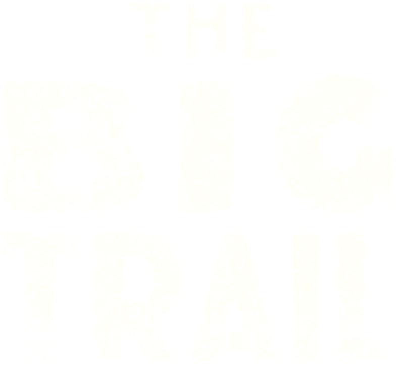The Big Trail logo