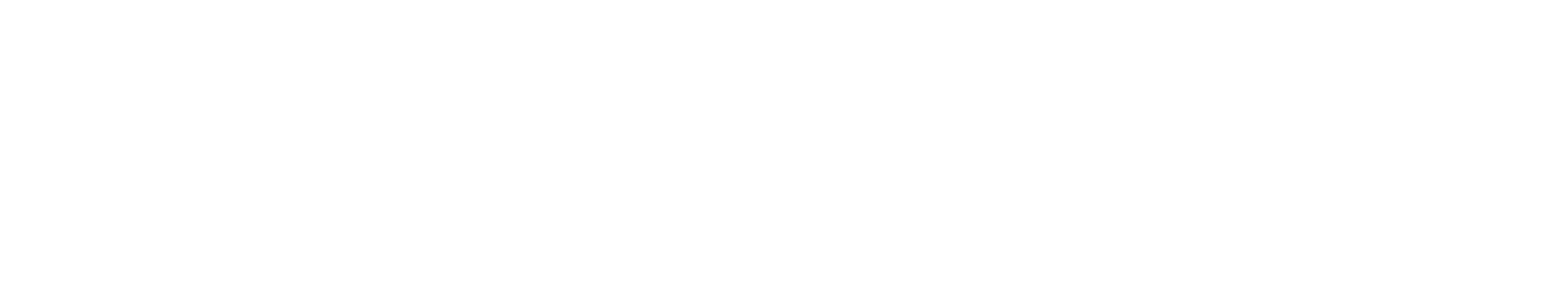 The Beach Bum logo