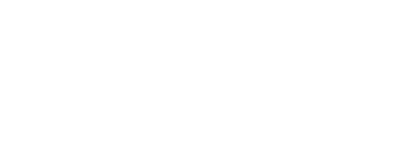 Spiders logo