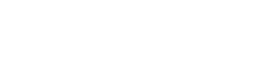 Rio Bravo logo
