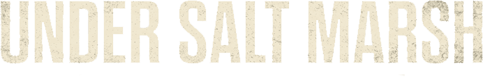 Under Salt Marsh logo