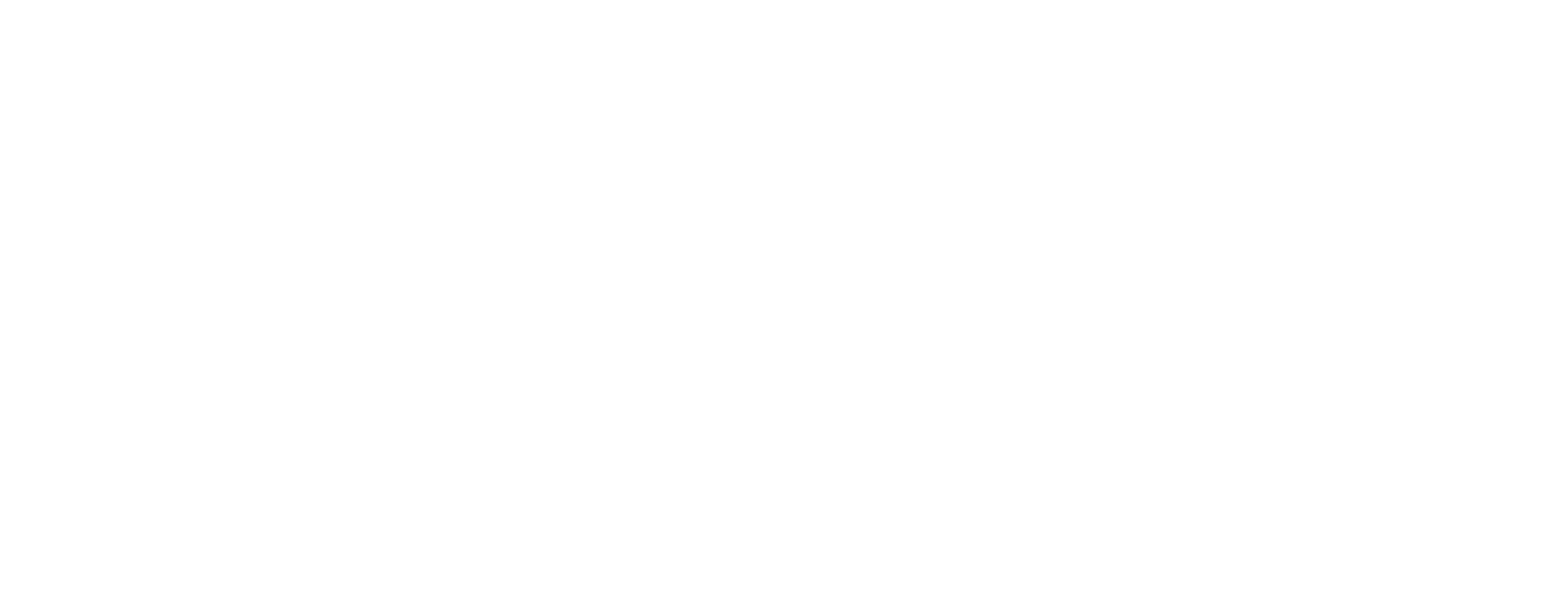 The Litchi Road logo