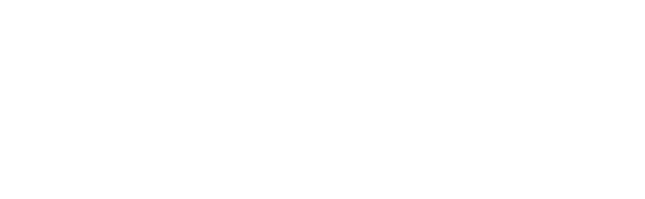 Free State of Jones logo