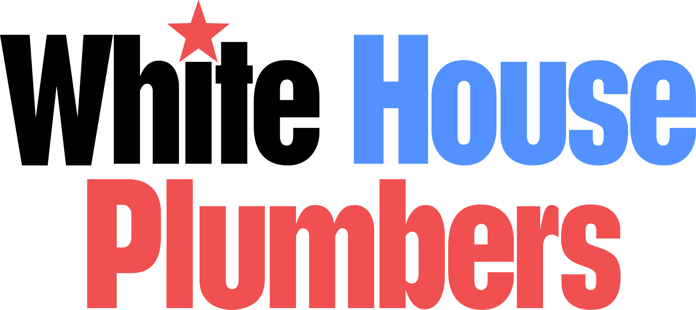 White House Plumbers logo