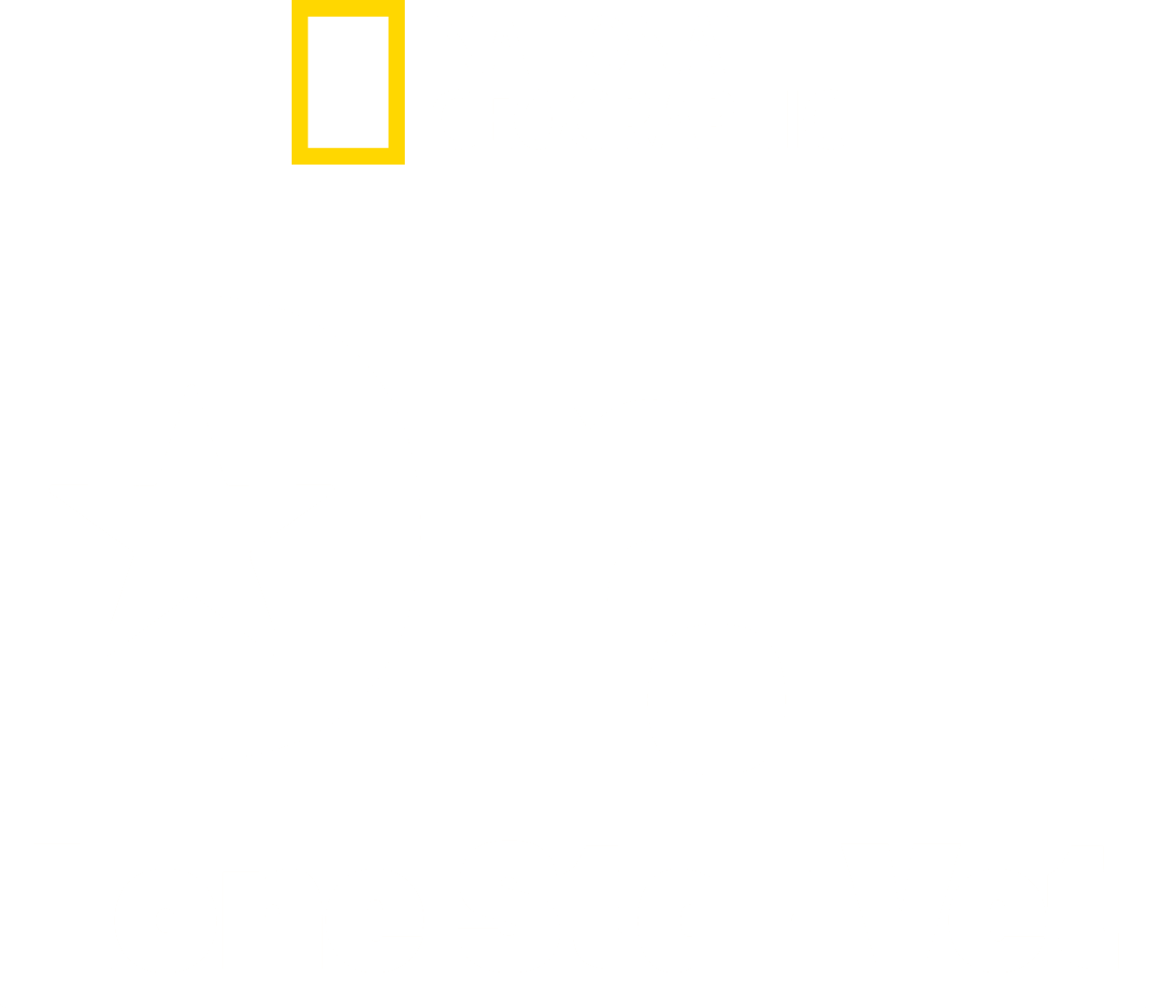 Dr. T, Lone Star Vet logo
