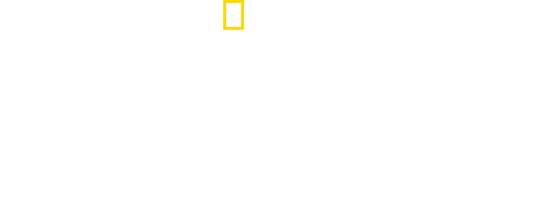 Kingdom of the Polar Bears logo