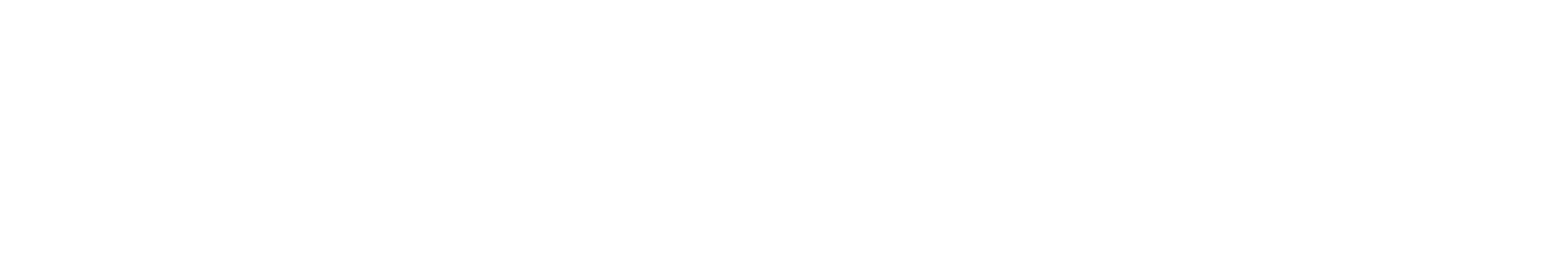 The Summer I Turned Pretty logo