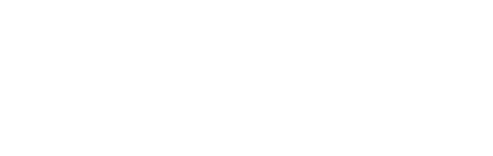 The Bitch logo