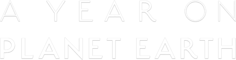 A Year on Planet Earth logo