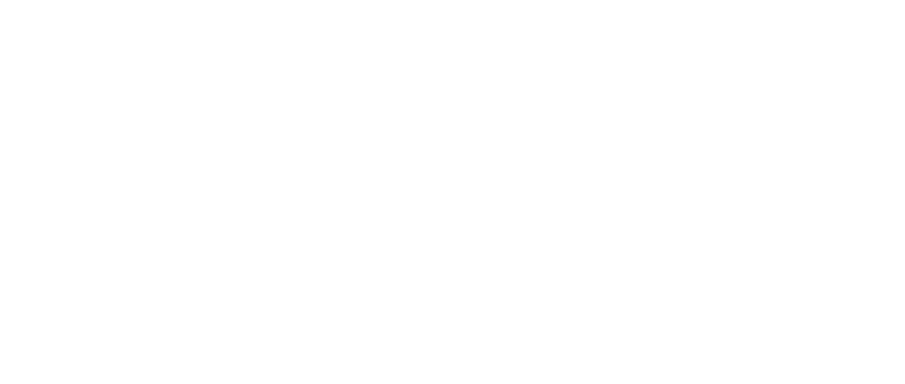 The Double logo