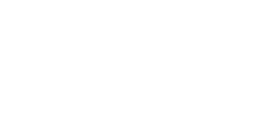 Leap Year logo