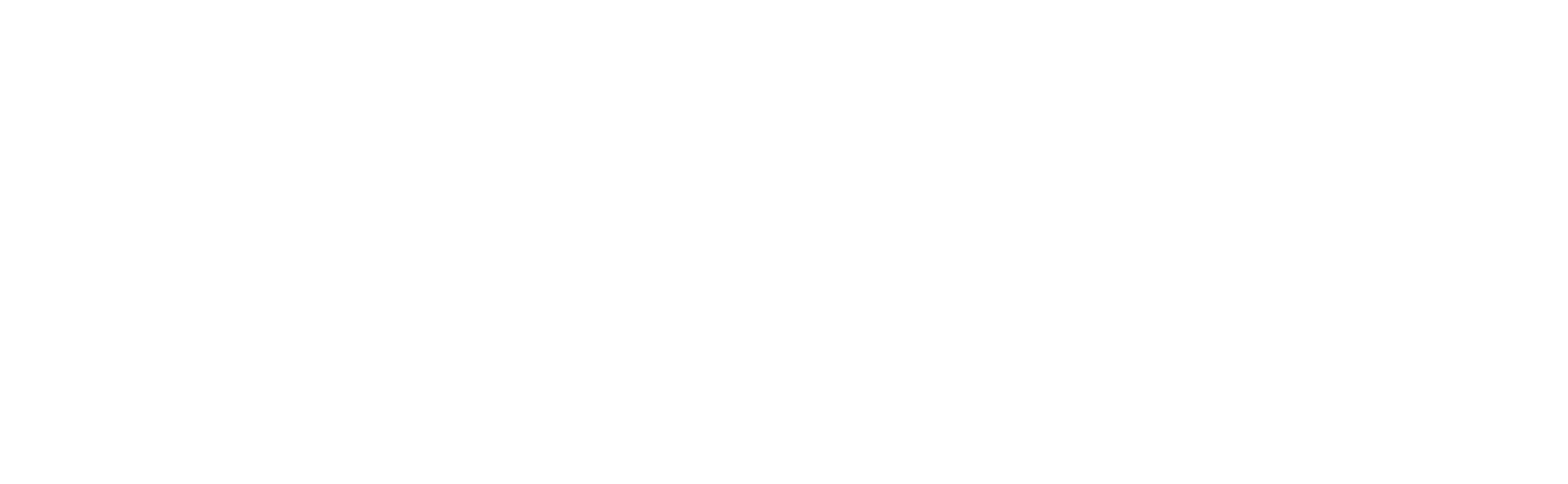 The Big Cigar logo
