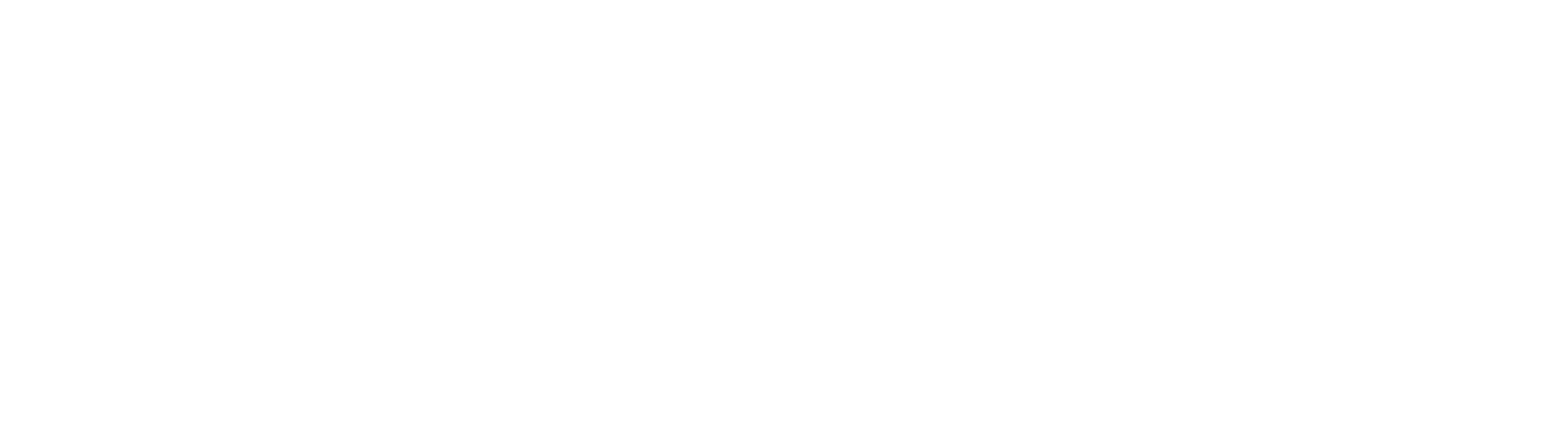 The Kid logo