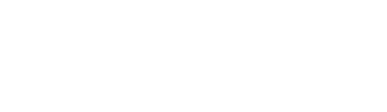 NYC Point Gods logo