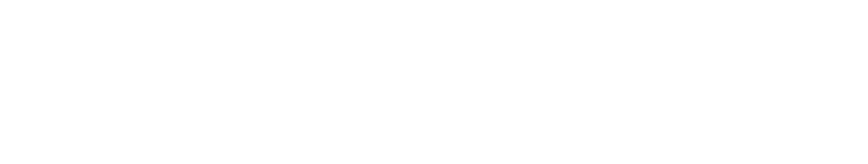 The Spirit logo