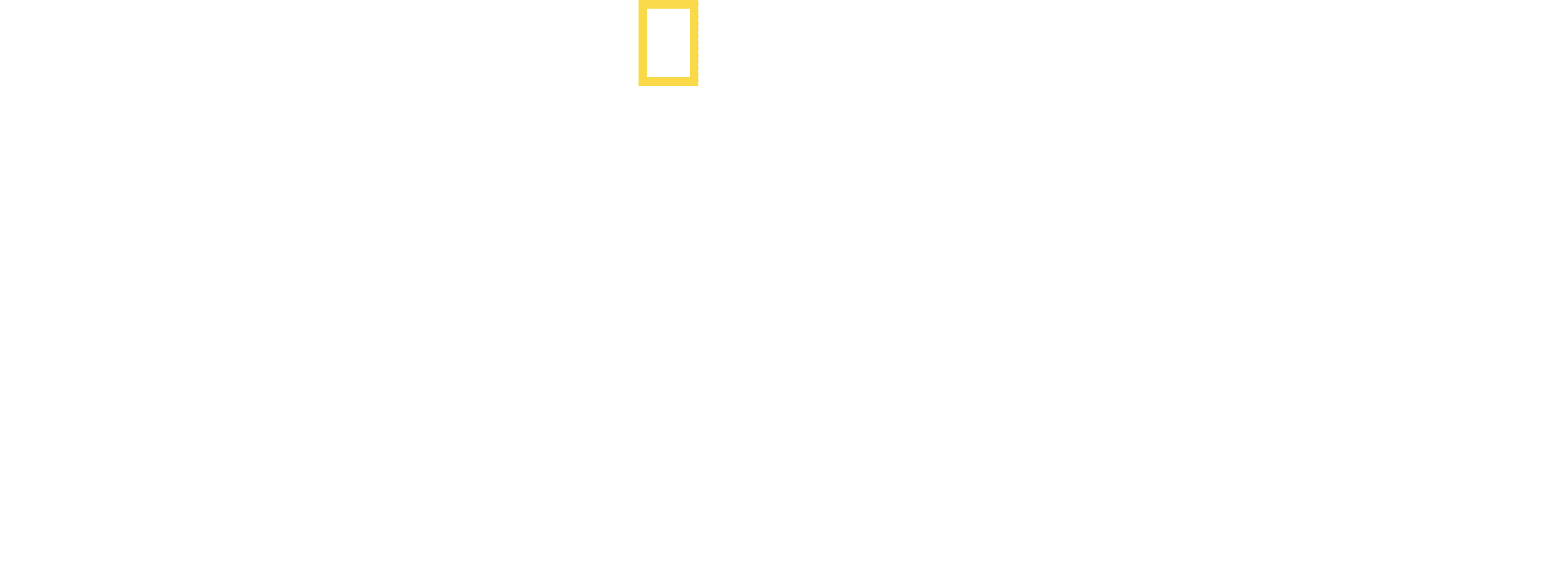 Sharks of the Bermuda Triangle logo