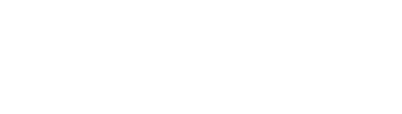 The Hindenburg logo