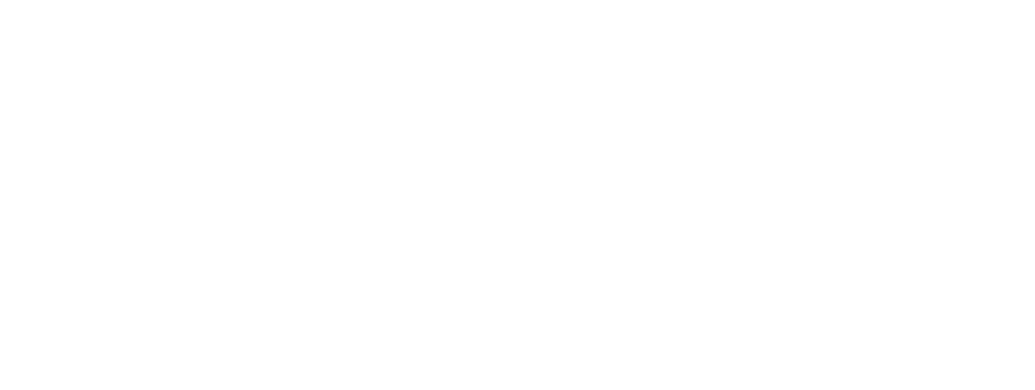 Fisk logo