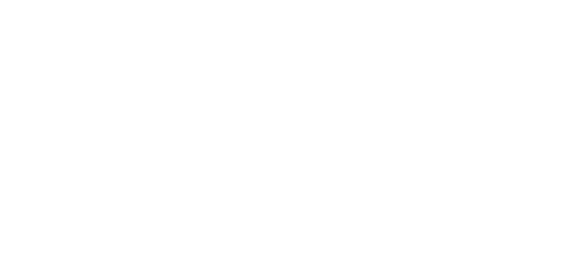 Doctor Stranger logo