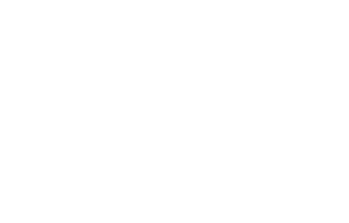Deadly Ties logo